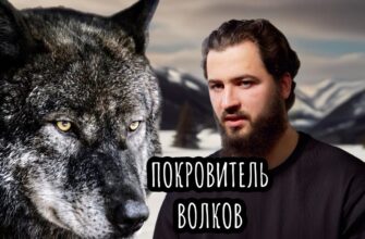 За гранью страха: Андрей Мусиенко и его миссия, покровитель исчезающих волков.