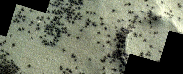 На Марсе заметили похожие на пауков образования
