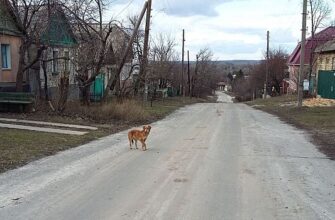 Комитет Госдумы поддержал законопроект о сельском туризме